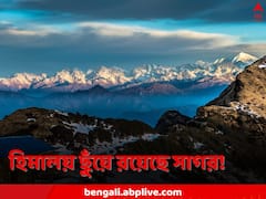 প্রাণ ছিল ৬০ কোটি বছর আগেও, রয়ে গিয়েছে শুধু জলবিন্দু, হিমালয়ের কোলে খোঁজ মিলল প্রাচীন সাগরের