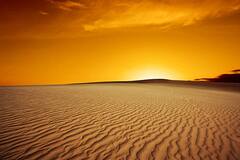 Egypt Tour : IRCTC चं इजिप्तसाठी खास टूर पॅकेज, फक्त 'इतक्या' रुपयात अनेक सुविधा