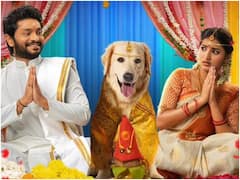 'స్లమ్ డాగ్ హజ్బెండ్' రివ్యూ : కుక్కతో పెళ్లి అయితే - సినిమా ఎలా ఉందంటే?