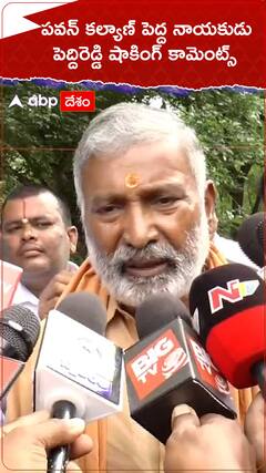 పవన్ కల్యాణ్ పెద్ద నాయకుడు... వైసీపీ నేత పెద్దిరెడ్డి షాకింగ్ కామెంట్స్