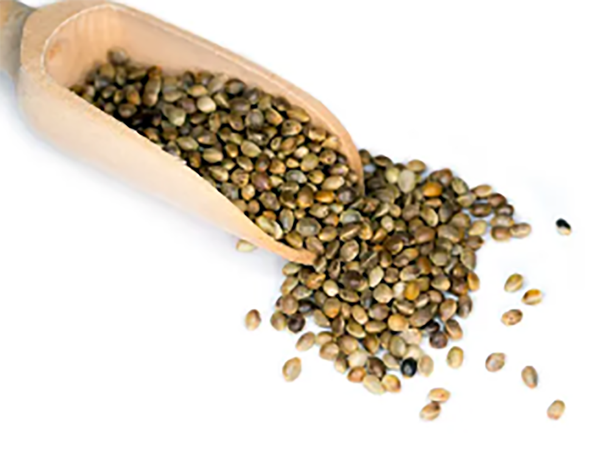 Hemp Seeds And Their Incredible Benefits for health and tips ...