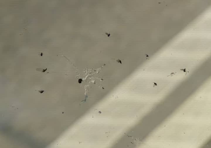 ਗਲੋਬਲ ਵਾਰਮਿੰਗ ਕਾਰਨ ਜਲਵਾਯੂ ਪਰਿਵਰਤਨ, ਤਾਪਮਾਨ ਵਿੱਚ ਵਾਧਾ, ਖੇਤੀ 'ਤੇ ਮਾੜਾ ਪ੍ਰਭਾਵ, ਮੌਤ ਦਰ ਵਿਚ ਵਾਧਾ, ਕੁਦਰਤੀ ਰਿਹਾਇਸ਼ ਦਾ ਨੁਕਸਾਨ ਵਰਗੇ ਹਾਨੀਕਾਰਕ ਮਾੜੇ ਪ੍ਰਭਾਵ ਦੇਖਣ ਨੂੰ ਮਿਲ ਰਹੇ ਹਨ।