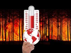 ग्लोबल वार्मिंग से पैदा होगी एक और बड़ी समस्या, दुनिया में बढ़ जायेंगे मच्छर - शोध