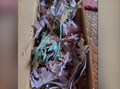 Grandma saves 5 lakh for mecca: ਮੱਕਾ ਦੀ ਤੀਰਥ ਯਾਤਰਾ ਲਈ ਜਮ੍ਹਾ ਕੀਤੇ 5.42 ਲੱਖ ਰੁਪਏ, ਜਦੋਂ ਖੋਲ੍ਹਿਆ ਡੱਬਾ ਤਾਂ ਉੱਡ ਗਏ ਹੋਸ਼...