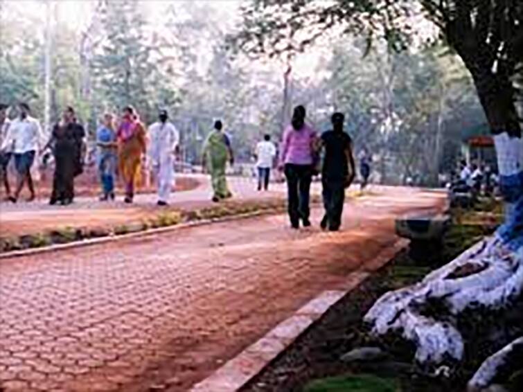 Six Health Benefits Of Morning Walk From Weight Loss To Better Sleep Morning Walking : தினமும் இதை செய்யுங்க.. காலை நடைபயிற்சியால் இத்தனை நன்மைகளா?