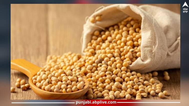 Tiny seeds more powerful than meat, 5 surprising benefits of eating just 100 grams ਮੀਟ ਨਾਲੋਂ ਵੀ ਜ਼ਿਆਦਾ ਤਾਕਤਵਰ ਛੋਟੇ-ਛੋਟੇ ਬੀਜ, ਸਿਰਫ 100 ਗ੍ਰਾਮ ਖਾਣ ਨਾਲ 5 ਹੈਰਾਨੀਜਨਕ ਫਾਇਦੇ 