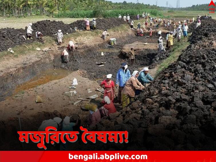 Parliament panel flags disparity and non increase of wages in MGNREGS scheme MGNREGA: বাজেটে বরাদ্দ কমেছে আগেই, ১০০ দিনের কাজের মজুরিতেও তারতম্য, রিপোর্ট দিল সংসদীয় কমিটি