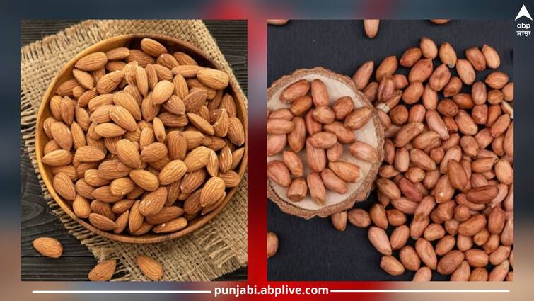 Expensive almonds or cheap peanuts? Know what is more beneficial for health? ਮਹਿੰਗੇ ਬਦਾਮ ਜਾਂ ਸਸਤੀ ਮੂੰਗਫਲੀ? ਜਾਣੋ ਸਿਹਤ ਲਈ ਕੀ  ਜ਼ਿਆਦਾ ਫਾਇਦੇਮੰਦ?