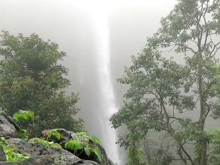 Mangeli Waterfall  :  सिंधुदुर्गातील मांगेली धबधब्यावर पर्यटकांची रेलचेल सध्या पाहायला मिळत आहे.