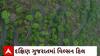 Wilson Hills : ચોમાસામાં ધરતી પરના સ્વર્ગ વિલ્સન હિલ ખાતે મોટી સંખ્યામાં ઉમટ્યા પર્યટકો