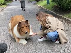 11 लाख रुपये उड़ाकर इंसान से 'कुत्ता' बन गया शख्स, करने लगा उसी की तरह हरकतें, देखें ये VIDEO