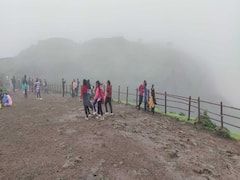 Nashik : 'धुके, थंडगार वारा, फेसाळणारे धबधबे अन् चिंब पर्यटन, नाशिकचं कोकण पर्यटकांना भुरळ घालतंय!