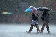 Rain Update: विदर्भासह कोकण-पश्चिम महाराष्ट्रात मुसळधार पावसाचा इशारा; पाहा तुमच्या भागातील पावसाची आजची स्थिती