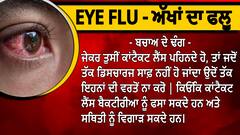 ਜੇ ਵੇਲੇ ਸਿਰ ਗ਼ੌਰ ਨਾ ਕੀਤੀ ਤਾਂ ਘਾਤਕ ਹੋ ਸਕਦਾ EYE ਫਲੂ, ਜਾਣੋ ਬਚਾਅ ਦੇ ਤਰੀਕੇ