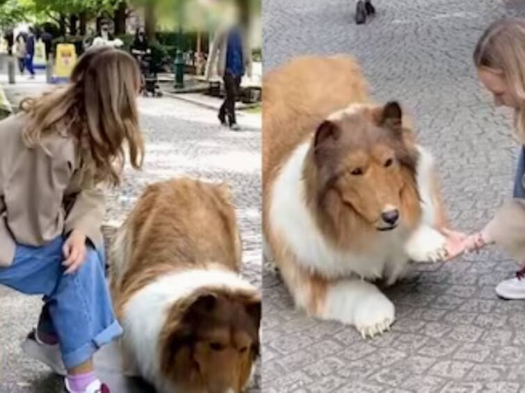 Japan A man who has been living as a dog in a dog suit for a year even his friends do not know Watch Video : ஒரு வருடமாக நாய் உடையில் நாயாகவே வாழ்ந்து வரும் நபர்: நண்பர்களுக்கு கூட தெரியாதாம்!