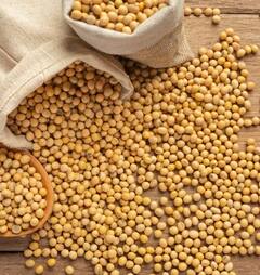 Health News: ਇਹ ਛੋਟੇ-ਛੋਟੇ ਬੀਜ ਸਰੀਰ ਦੇ ਲਈ ਨੇ ਬਹੁਤ ਹੀ ਫਾਇਦੇਮੰਦ..ਜਾਣੋ ਇਸ ਬਾਰੇ