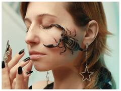 7 करोड़ से भी ज्यादा में बिकता है बिच्छू का जहर! इसके अंदर है ये चीज, जो इसे बनाती है महंगा