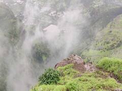 Nashik : 'धुके, थंडगार वारा, फेसाळणारे धबधबे अन् चिंब पर्यटन, नाशिकचं कोकण पर्यटकांना भुरळ घालतंय!