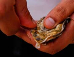 Pearl Farming: આ ખેતીથી ખેડૂતો બની રહ્યા છે ધનિક, તમે પણ કરી શકો છો આ કામ