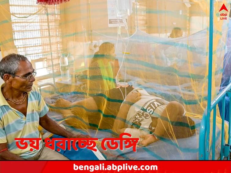 Dengue Situation Howrah Bankura Purba Bardhaman Paschim Bardhaman Nadia Jalpaiguri reported several cases Dengue Situation: বর্ষায় আবারও ডেঙ্গির প্রকোপ, এক শয্যায় দুই রোগী, ভিড় বাড়ছে জেলার হাসপাতালগুলিতেও