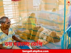 বর্ষায় আবারও ডেঙ্গির প্রকোপ, এক শয্যায় দুই রোগী, ভিড় বাড়ছে জেলার হাসপাতালগুলিতেও