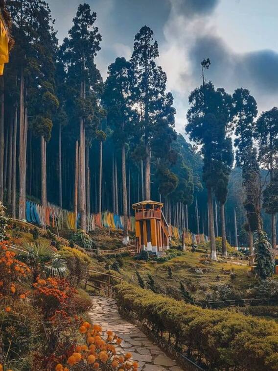 दार्जीलिंग जाएं तो न भूलें 9 चीजें देखना और करना