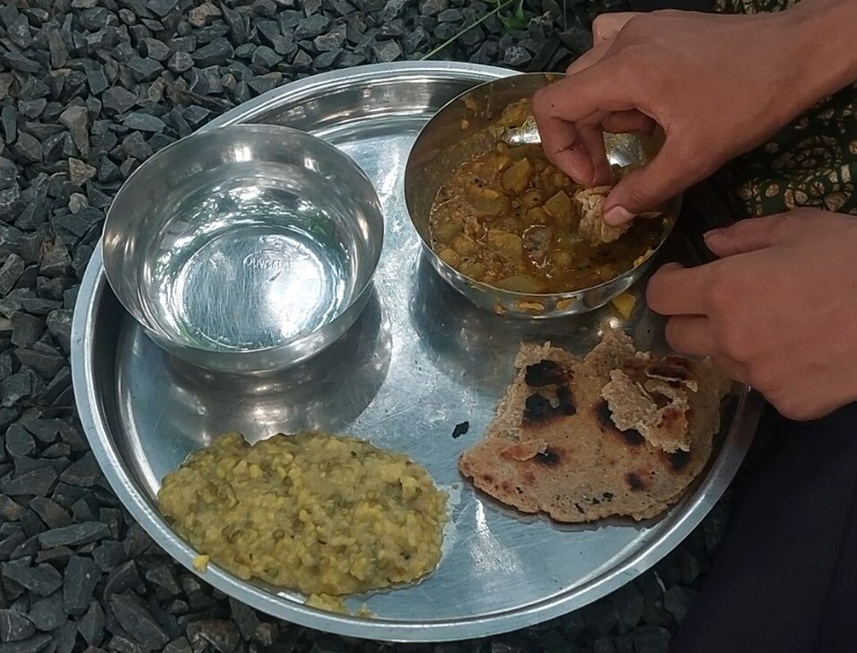 Bhavnagar:  ભાવનગરની આ ખ્યાતનામ વિદ્યાપીઠનાં ભોજનમાં નિકળી જીવાત,જાણો સંસ્થાએ શું આપ્યો જવાબ