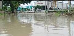 Gujarat Rain: રાજ્યના આ જિલ્લામાં ધોધમાર વરસાદ બન્યો આફત, 25થી વધુ લોકોનું કરાયું રેસ્ક્યું