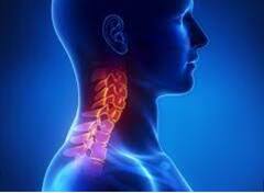 Head And Neck Cancers : ਭਾਰਤ 'ਚ ਤੇਜ਼ੀ ਨਾਲ ਵੱਧ ਰਿਹਾ ਸਿਰ ਤੇ ਗਰਦਨ ਦਾ ਕੈਂਸਰ, ਜਾਣੋ ਇਸ ਦੇ ਲੱਛਣ ਤੇ ਕਾਰਨ