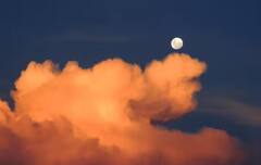 ਜਦੋਂ ਤੱਕ ਚੰਦ 'ਤੇ ਇੱਕ ਦਿਨ ਅਤੇ ਰਾਤ ਹੁੰਦੀ ਹੈ ਤਾਂ ਧਰਤੀ 'ਤੇ ਲੰਘ ਚੁੱਕੇ ਹੁੰਦੇ ਨੇ ਇੰਨ੍ਹੇ ਦਿਨ