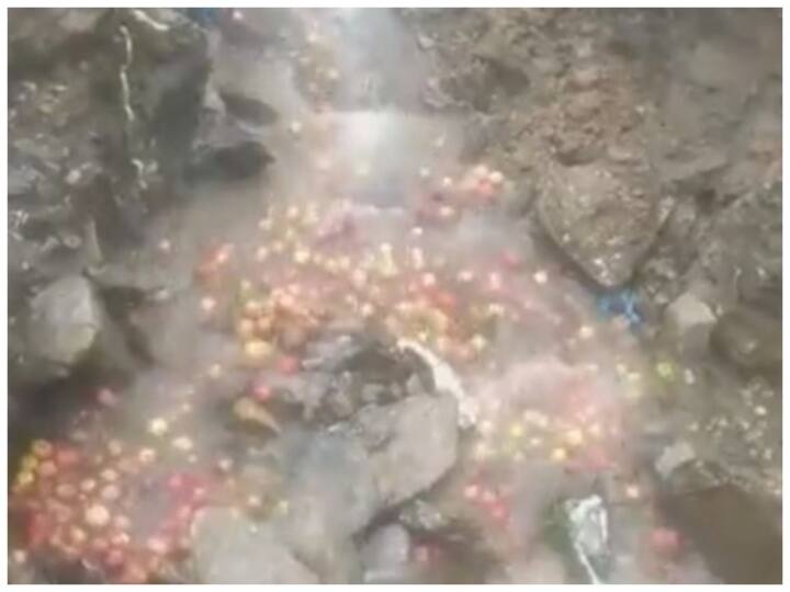 Gardeners were forced to shed apples in the drain in Himachal Pradesh ann Himachal News: सड़कें बंद होने से बागवानों की मेहनत पर फिरा पानी, नाले में बहाने पड़े सेब