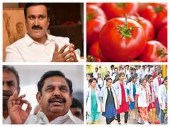 மருத்துவ மாணவர்களுக்கு செப்.1 முதல் வகுப்புகள்... புதிய உச்சத்தில் தக்காளி விலை... முக்கிய செய்திகள் இதோ...!