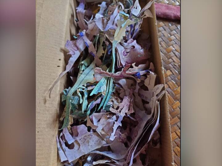 Termites Eaten 5 Lakh Cash Saved For Mecca Pilgrimage Of Grandma In Malaysia मक्का की तीर्थयात्रा के लिए बचाकर रखे थे 5.42 लाख रुपये, मगर जब पैसे का बॉक्स खोला तो उड़ गए होश
