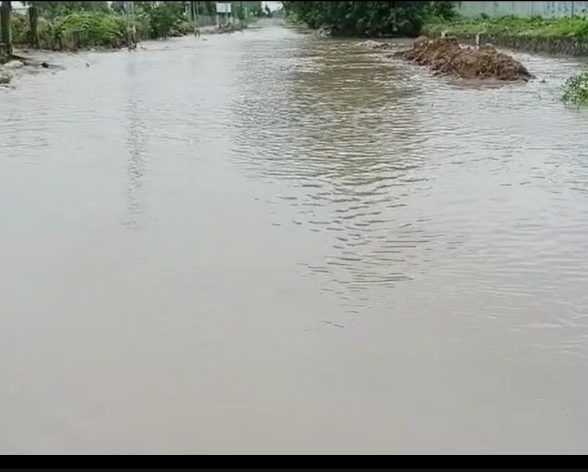 Gujarat Rain: રાજ્યના આ જિલ્લામાં ધોધમાર વરસાદ બન્યો આફત, 25થી વધુ લોકોનું કરાયું રેસ્ક્યું