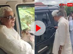 Watch: किरोड़ी लाल मीणा के कंधे पर आ बैठा बंदर, विचित्र था नजारा, सांसद बोले- 'हनुमान जी की कृपा'