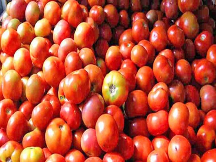 Tomato Price at Rs 200 per kilo in Pudukottai public suffering TNN Tomato Price: புதுக்கோட்டையில் தக்காளி கிலோ ரூ. 200க்கு விற்பனை - பொதுமக்கள் அவதி