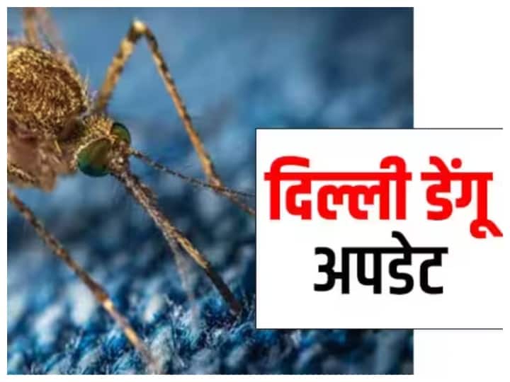 Delhi Dengue continues to wreak havoc in Delhi, 243 cases registered so far Delhi Dengue: दिल्ली में पिछले एक हफ्ते में डेंगू के 56 नए केस, जुलाई में 121 मामले सामने आए