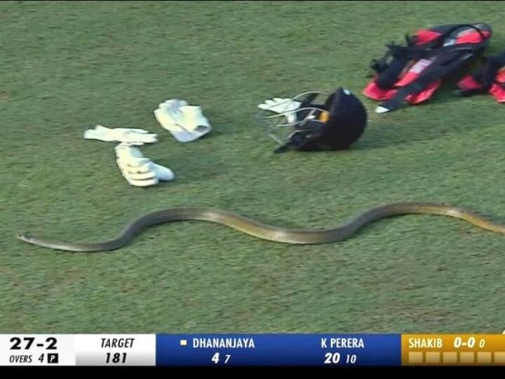 Lanka Premier League 2023 Snake Stops Play Galle Titans vs Dambulla Aura Watch Video Watch: लंका प्रीमियर लीग मैच के दौरान स्टेडियम में घुसा सांप, सोशल मीडिया पर वायरल हुआ वीडियो