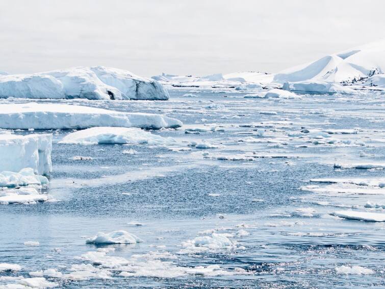 Heavy Temperature Extreme Temperature in Antarctica And huge Ice Sheets Melting in Days Heavy Temperature: అంటార్కిటికాలో అత్యధిక ఉష్ణోగ్రతలు - క్షణాల్లో కరిగిపోతున్న మంచు ఫలకాలు