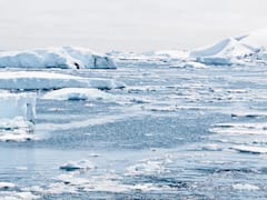 అంటార్కిటికాలో అత్యధిక ఉష్ణోగ్రతలు - క్షణాల్లో కరిగిపోతున్న మంచు ఫలకాలు