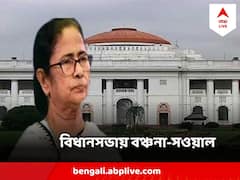 Mamata Banerjee : 'ডবল ইঞ্জিন এরোপ্লেনের ব্যবস্থা করতে কেন্দ্রকে বলুন'
