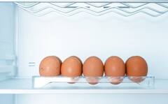 Kitchen Tips: अंडी फ्रिजमध्ये ठेवणं पडेल महागात; 'ही' आहे अंडी साठवण्याची योग्य पद्धत