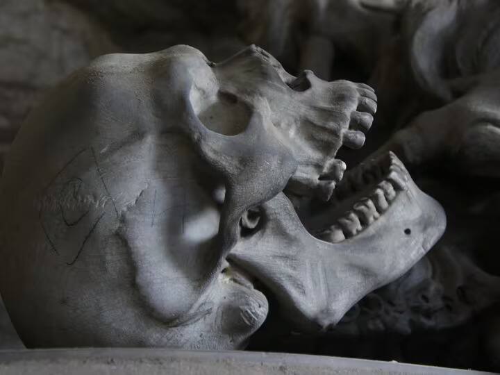 brazil murdered woman head stolen from grave for witchcraft black magic Weird News: ਕਬਰਾਂ 'ਚ ਵੀ ਸੁਰੱਖਿਅਤ ਨਹੀਂ ਕੁੜੀਆਂ! ਲੋਕਾਂ ਨੇ ਤਾਬੂਤ ਤੋੜ ਕੇ ਦੱਬੀ ਔਰਤ ਦੀ 'ਮੁੰਡੀ' ਪੁੱਟੀ, ਹਿਲਾ ਦੇਵੇਗੀ ਇਹ ਘਟਨਾ