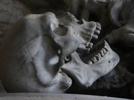 Weird News: ਕਬਰਾਂ 'ਚ ਵੀ ਸੁਰੱਖਿਅਤ ਨਹੀਂ ਕੁੜੀਆਂ! ਲੋਕਾਂ ਨੇ ਤਾਬੂਤ ਤੋੜ ਕੇ ਦੱਬੀ ਔਰਤ ਦੀ 'ਮੁੰਡੀ' ਪੁੱਟੀ, ਹਿਲਾ ਦੇਵੇਗੀ ਇਹ ਘਟਨਾ Weird News: ਕਬਰਾਂ 'ਚ ਵੀ ਸੁਰੱਖਿਅਤ ਨਹੀਂ ਕੁੜੀਆਂ! ਲੋਕਾਂ ਨੇ ਤਾਬੂਤ ਤੋੜ ਕੇ ਦੱਬੀ ਔਰਤ ਦੀ 'ਮੁੰਡੀ' ਪੁੱਟੀ, ਹਿਲਾ ਦੇਵੇਗੀ ਇਹ ਘਟਨਾ