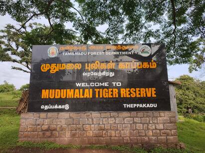 Tourists banned due to Presidents visit to Mudumalai Elephant Camp in Nilgiris TNN President Visit : முதுமலை யானைகள் முகாமிற்கு குடியரசு தலைவர் வருகை  சுற்றுலா பயணிகளுக்கு தடை