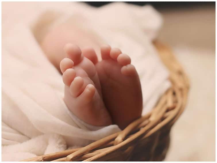 A newborn baby was found in Jamnagar Jamnagar: કચરાના ઢગમાંથી મળ્યું નવજાત બાળક, પોતાનું પાપ છુપાવવા ફેંકી દીધુ હોવાની આશંકા, પોલીસે શરુ કરી તપાસ