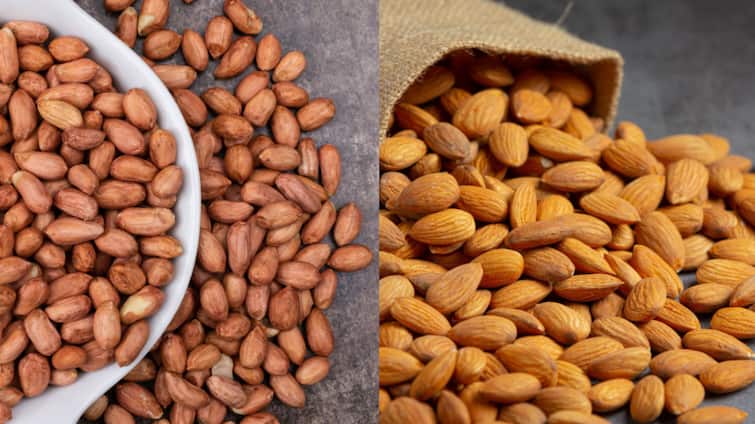 Health Tips which food is more beneficial almonds or peanuts Health Tips: बदाम की शेंगदाणे... काय खाणं ठरेल अधिक फायदेशीर? जाणून घ्या, तज्ज्ञांचं मत