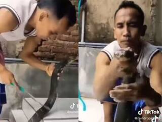 Shocking Video: ਬਿਲਕੁਲ ਵੀ ਡਰ ਨਹੀਂ! ਕੋਬਰਾ ਨੂੰ ਸ਼ੈਂਪੂ ਨਾਲ ਨਹਾਉਣ ਲੱਗਾ ਵਿਅਕਤੀ, ਦੇਖ ਕੇ ਰਹਿ ਜਾਓਗੇ ਹੈਰਾਨ