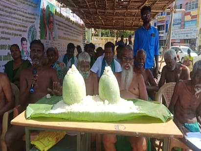 Farmers in Trichy protest to cover whole pumpkins in paddy for 4th day TNN திருச்சியில் விவசாயிகள் 4 வது நாளாக சோற்றில் முழு பூசணிக்காய் மறைக்கும் போராட்டம்