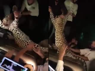 कश्मीर में पशु क्रूरता! तेंदुए की पीट-पीटकर कर हत्या करने के बाद लोगों ने मनाया 'जश्न', Video देख गुस्साए यूजर्स